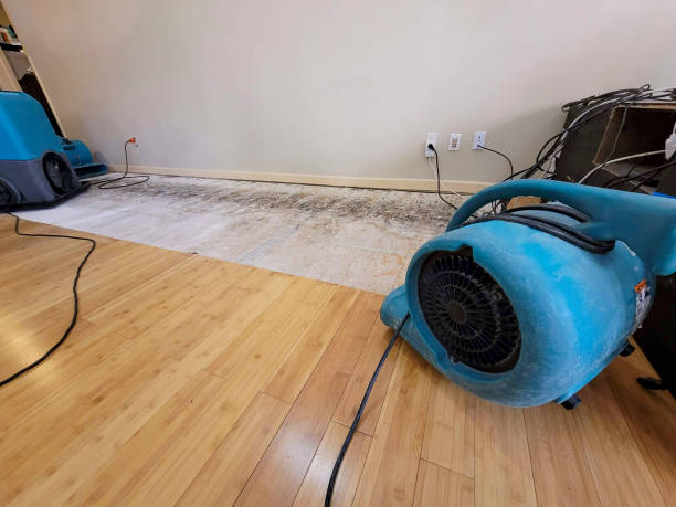 Professional Water Damage Repair technician working in Westhampton, NY